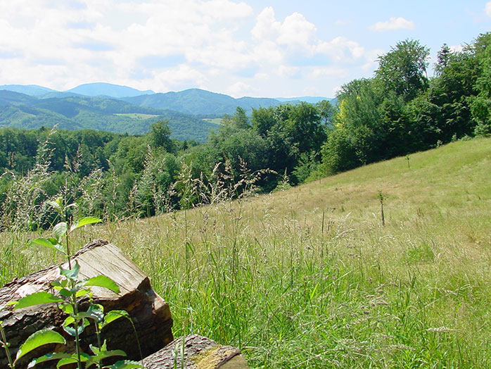 Natur im Breisgau