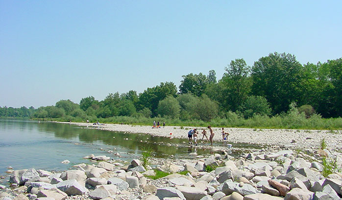 Altrhein bei Hartheim, Grißheim