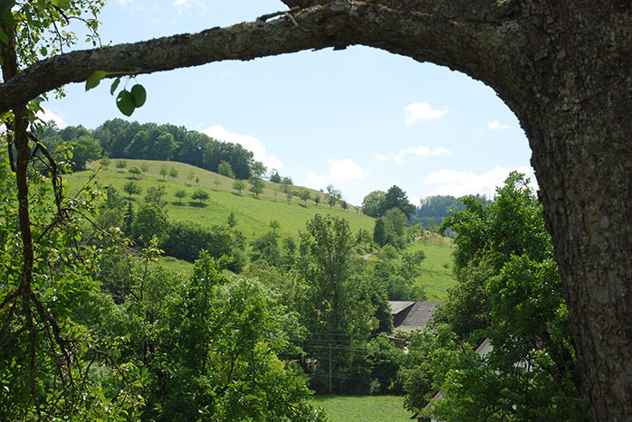 Freiamt in der Vorbergzone des Schwarzwald