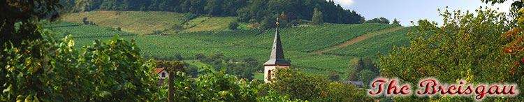 Blick von Staufen im Breisgau auf die Rebberge über Grunern im Breisgau