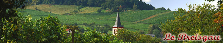 Vue de Staufen im Breisgau dans les vignobles de Grunern Breisgau