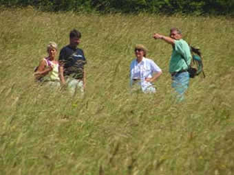 Wandern am Kaiserstuhl...