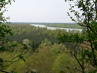 Kaiserstuhl