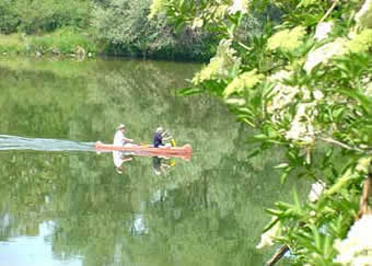 Kanufahrten auf dem Altrhein zwischen Beisach und Hartheim im Breisgau