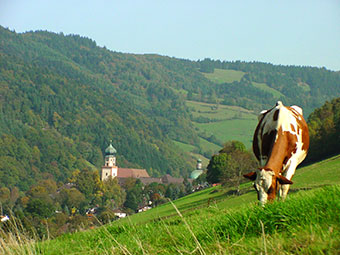 Kloster St. Trudpert im Münstertal