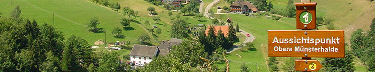 Münstertal-Münsterhalden