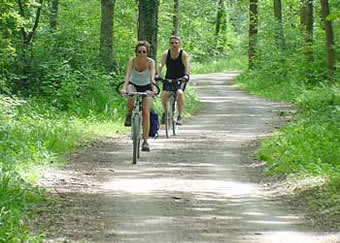 Radler in den Rheinauen zwischen Breisach und Hartheim im Breisgau